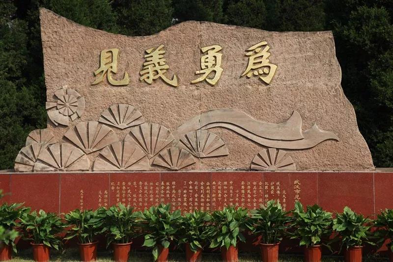 伟易博(中国区)官方网站