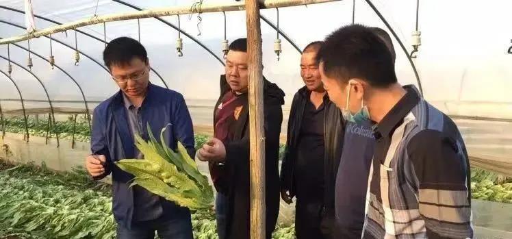 伟易博(中国区)官方网站