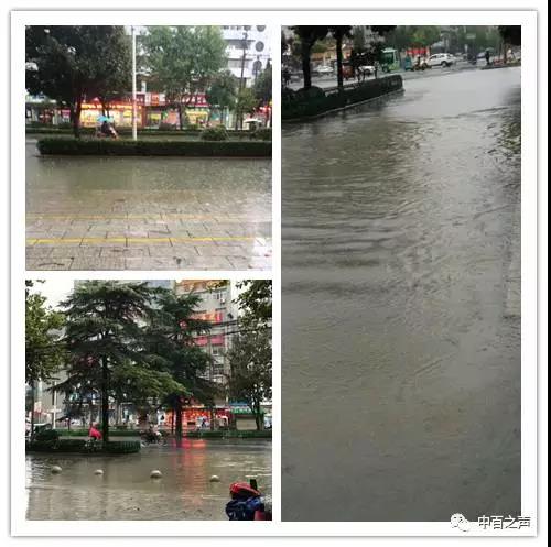 伟易博(中国区)官方网站