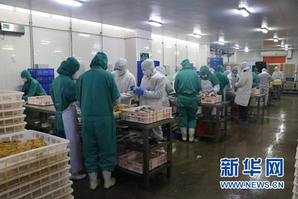 伟易博(中国区)官方网站