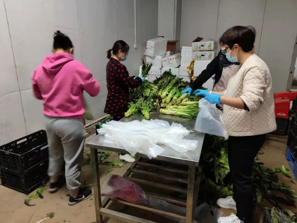 伟易博(中国区)官方网站