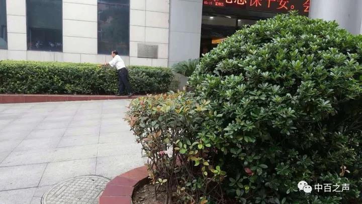 伟易博(中国区)官方网站