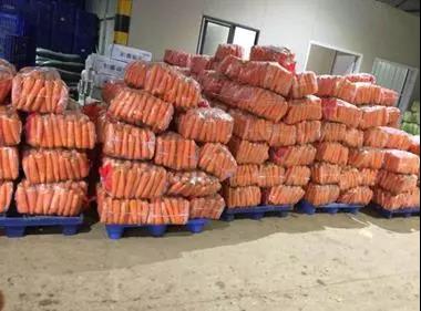 伟易博(中国区)官方网站