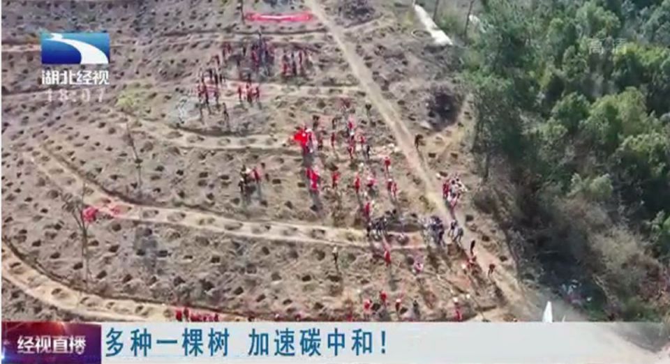 伟易博(中国区)官方网站