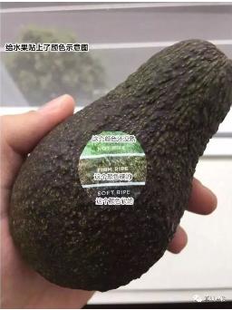 伟易博(中国区)官方网站