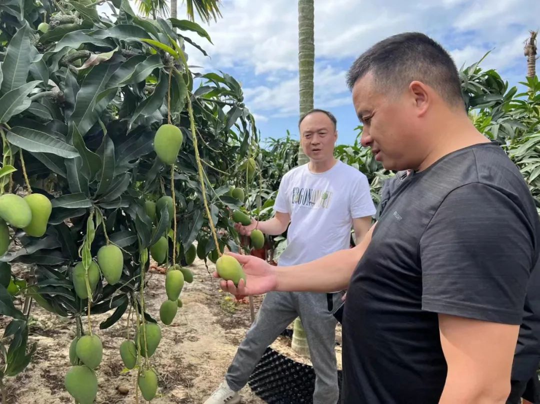 伟易博(中国区)官方网站