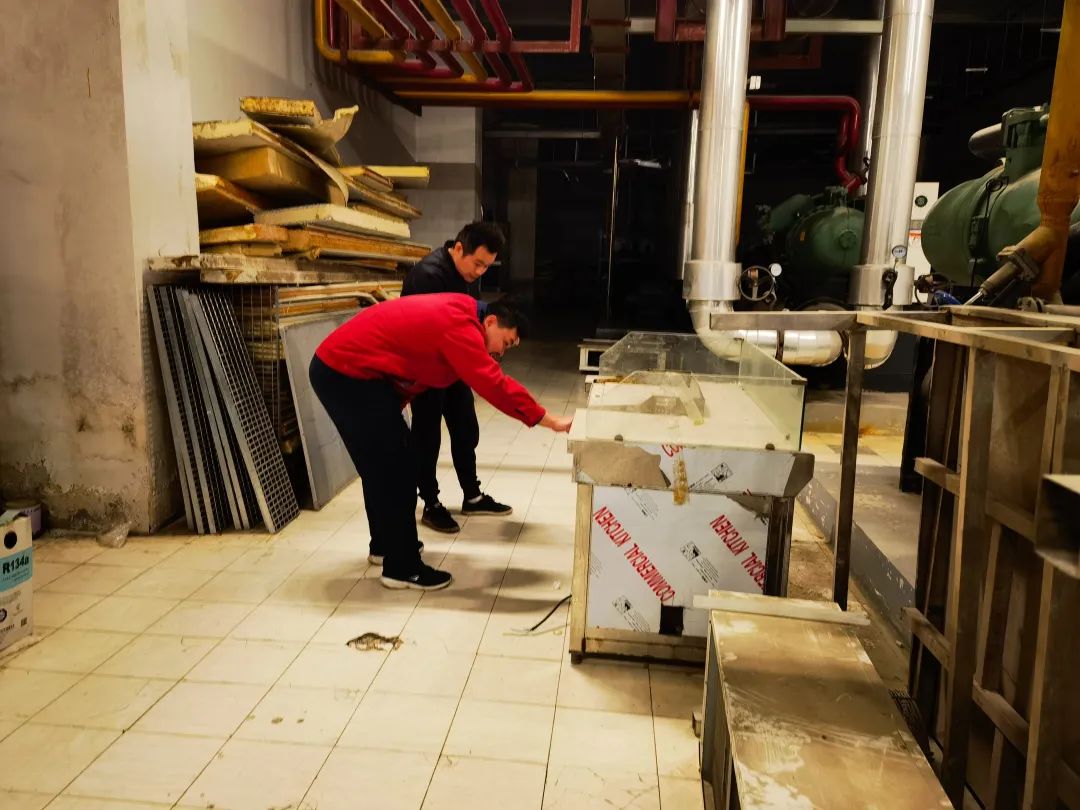 伟易博(中国区)官方网站