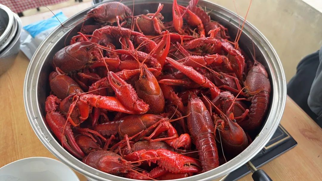 伟易博(中国区)官方网站