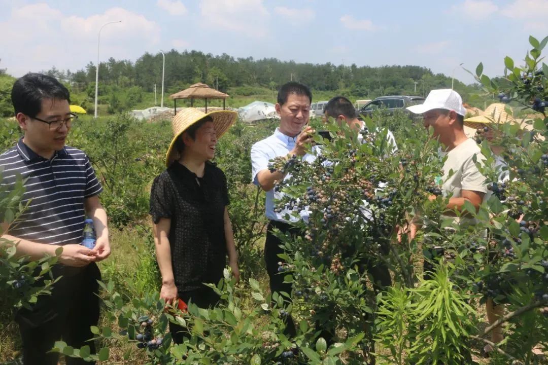 伟易博(中国区)官方网站