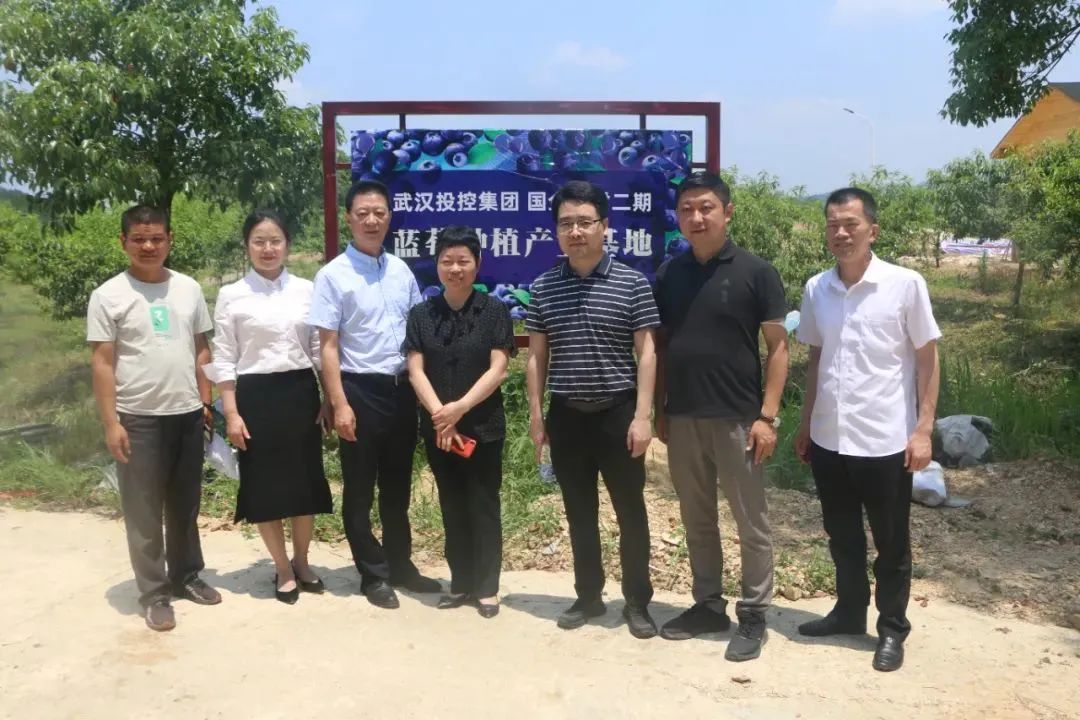 伟易博(中国区)官方网站