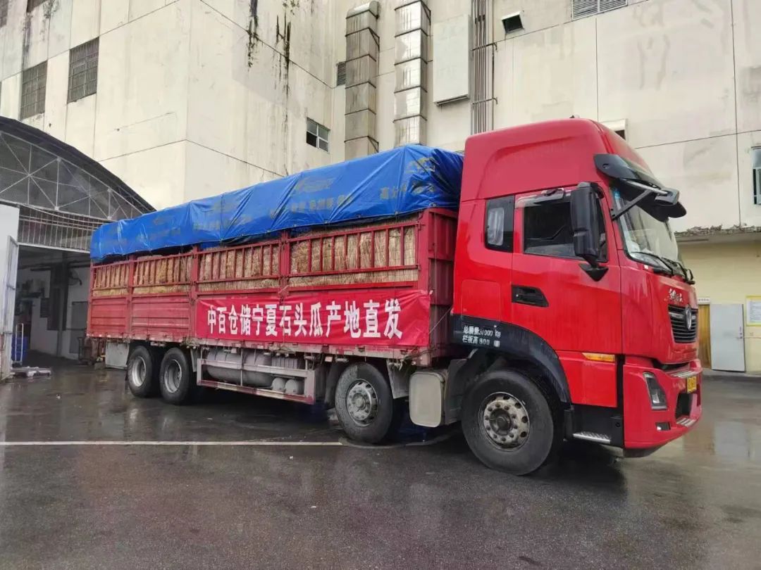 976a151a4e37279068a6c7891995d304