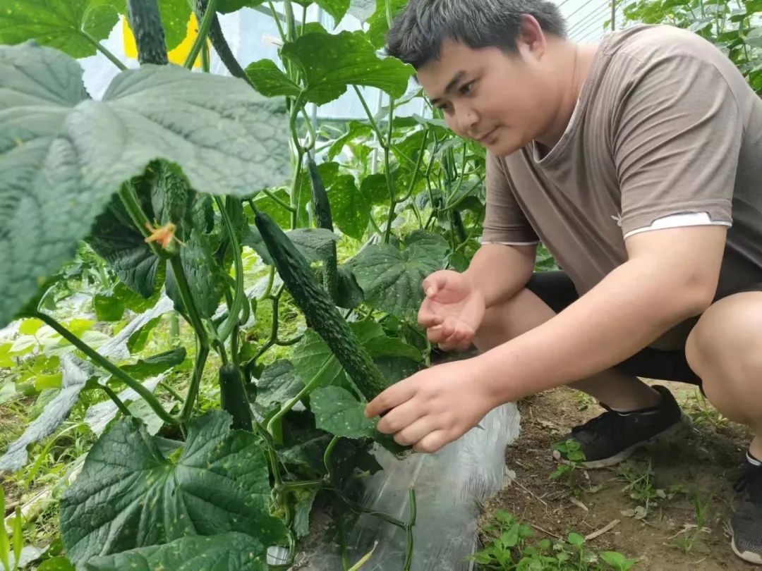 66161bff8eab33ce45b8a7f2a45afa4e