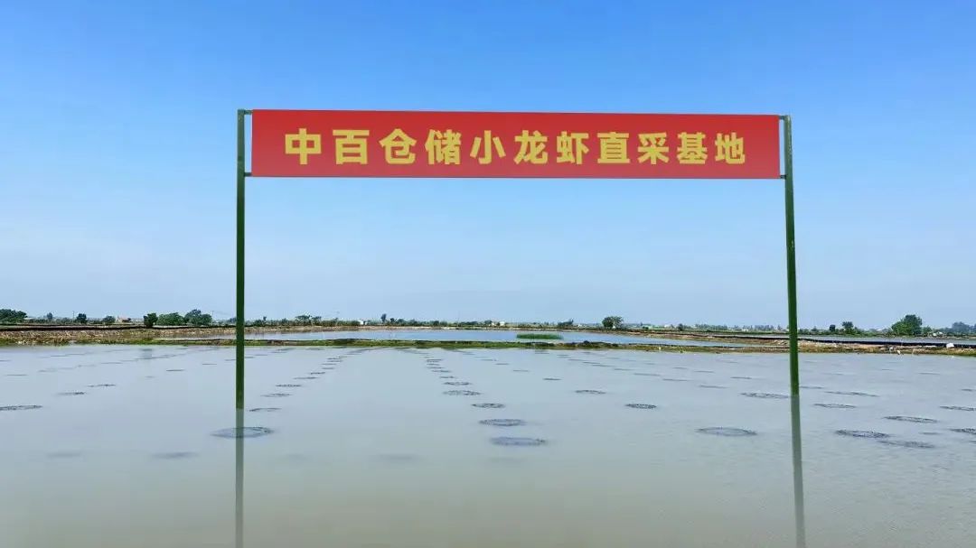 伟易博(中国区)官方网站