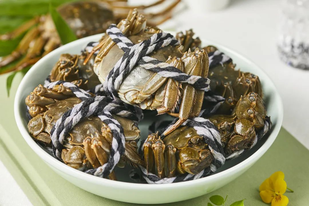 伟易博(中国区)官方网站