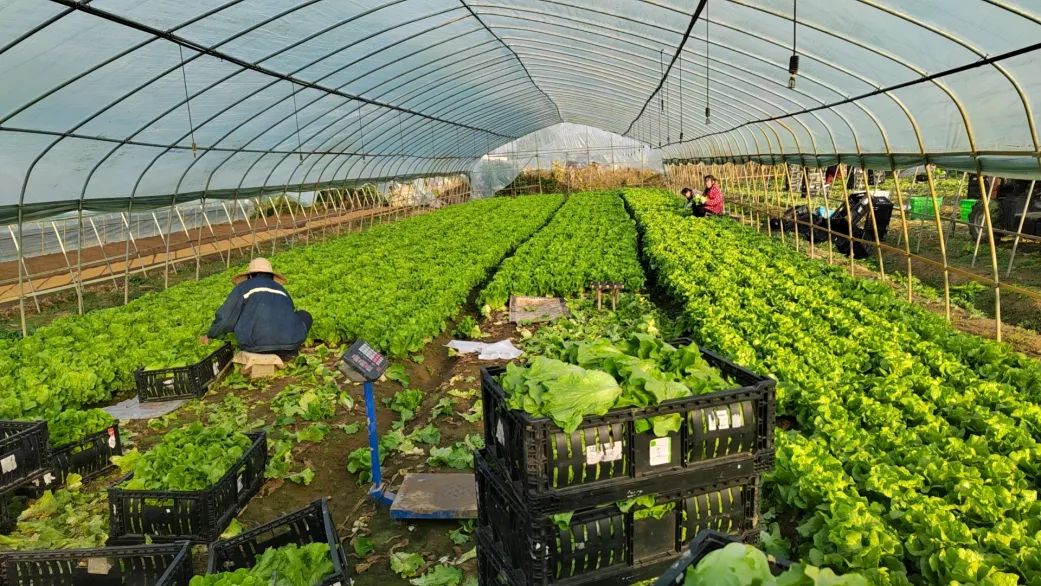 伟易博(中国区)官方网站