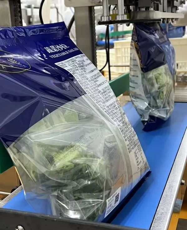 eebc01db5988815c8e3c0137693d3f2e