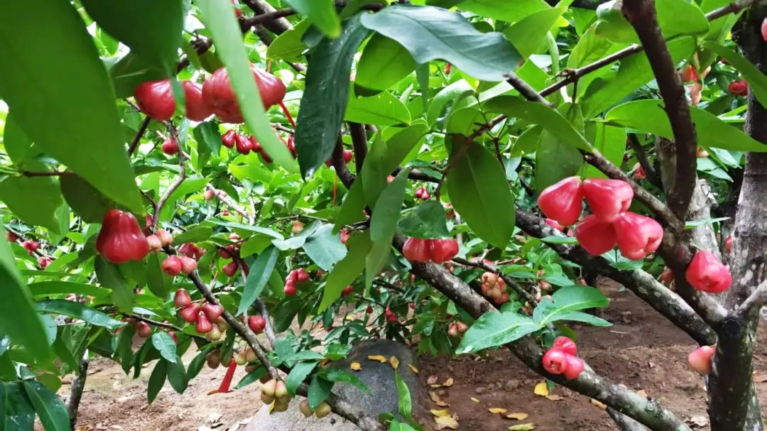 伟易博(中国区)官方网站