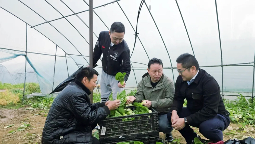 伟易博(中国区)官方网站